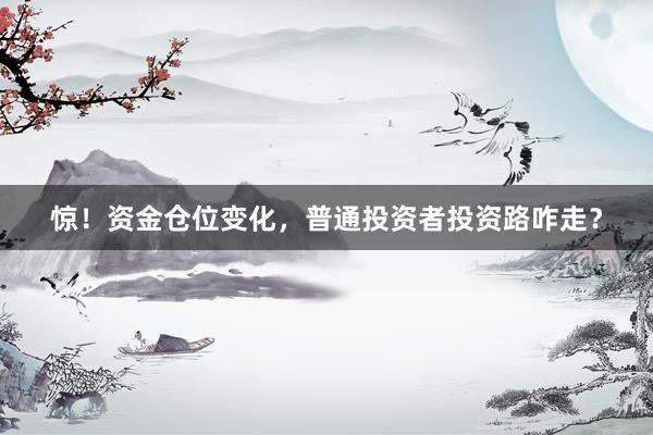 惊！资金仓位变化，普通投资者投资路咋走？