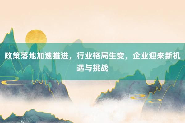 政策落地加速推进，行业格局生变，企业迎来新机遇与挑战