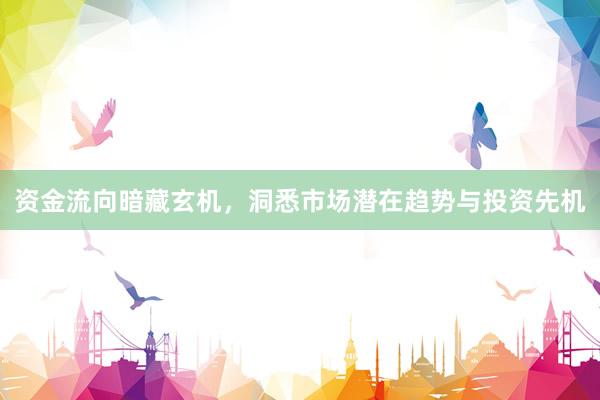 资金流向暗藏玄机，洞悉市场潜在趋势与投资先机
