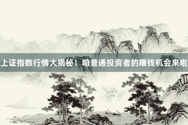 上证指数行情大揭秘！咱普通投资者的赚钱机会来啦