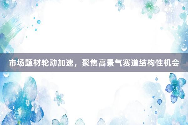市场题材轮动加速，聚焦高景气赛道结构性机会
