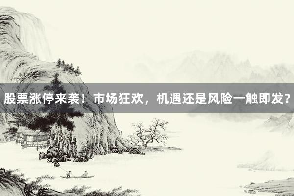 股票涨停来袭！市场狂欢，机遇还是风险一触即发？