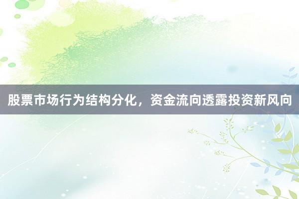 股票市场行为结构分化，资金流向透露投资新风向
