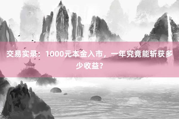 交易实录：1000元本金入市，一年究竟能斩获多少收益？