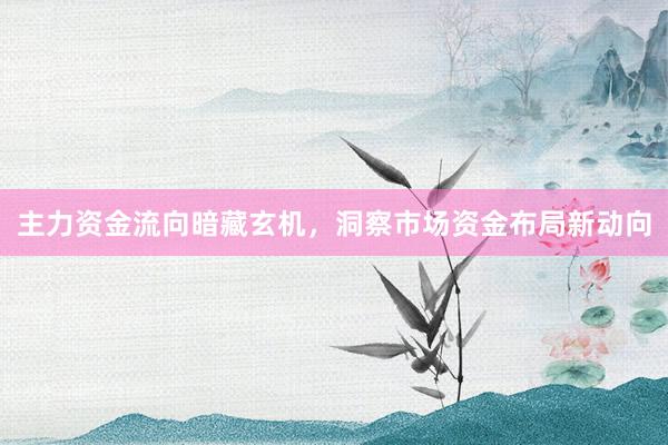 主力资金流向暗藏玄机，洞察市场资金布局新动向