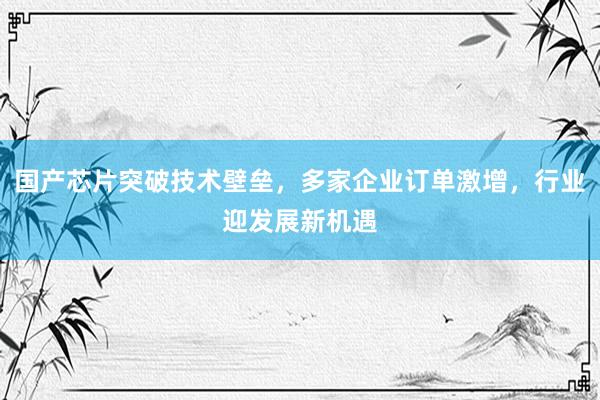 国产芯片突破技术壁垒，多家企业订单激增，行业迎发展新机遇