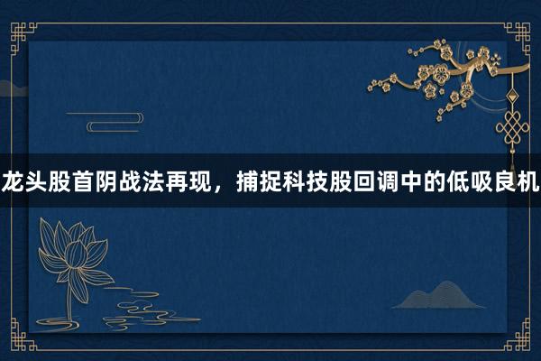龙头股首阴战法再现，捕捉科技股回调中的低吸良机