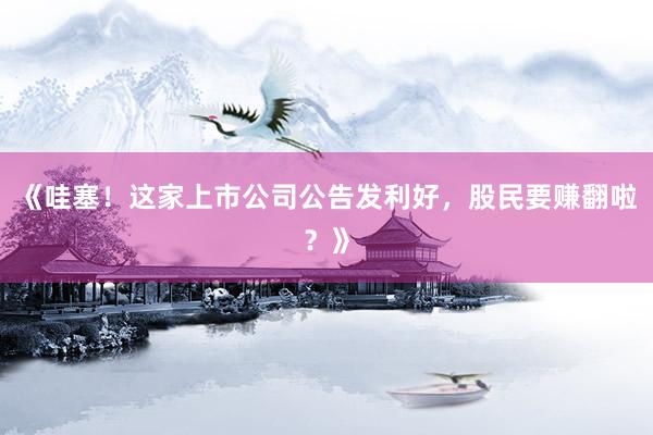 《哇塞！这家上市公司公告发利好，股民要赚翻啦？》