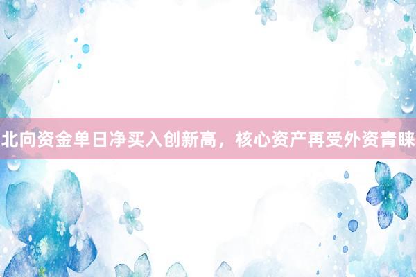 北向资金单日净买入创新高，核心资产再受外资青睐