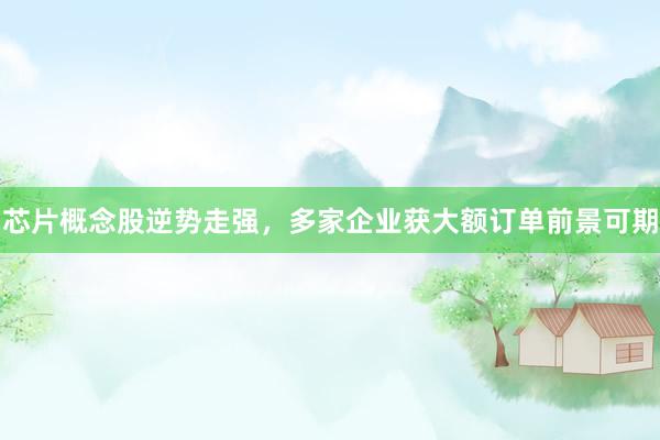 芯片概念股逆势走强，多家企业获大额订单前景可期