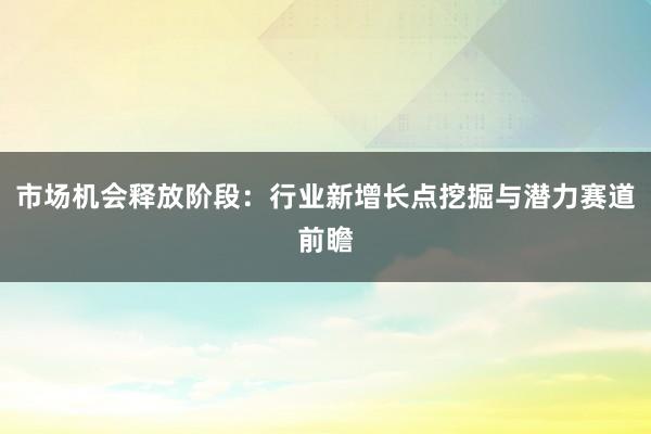 市场机会释放阶段：行业新增长点挖掘与潜力赛道前瞻