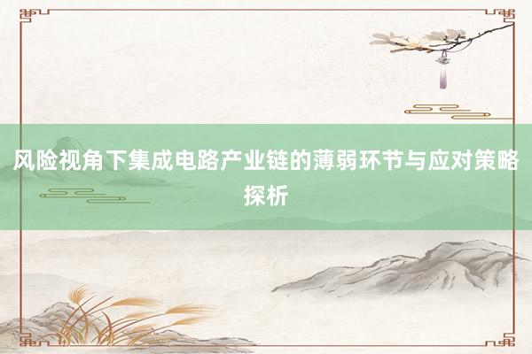 风险视角下集成电路产业链的薄弱环节与应对策略探析